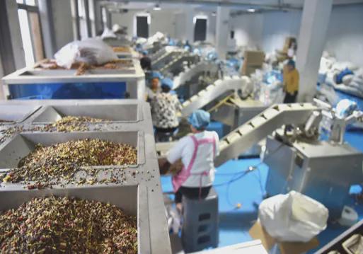 益保护「新质供给」引领产业升级凯发·k8国际拼多多加码商家权