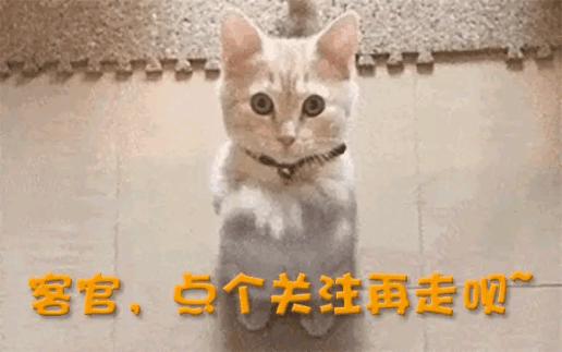一中产最爱的电商平台停运曾叫板淘宝！k8凯发国际烧光3000万美元！又