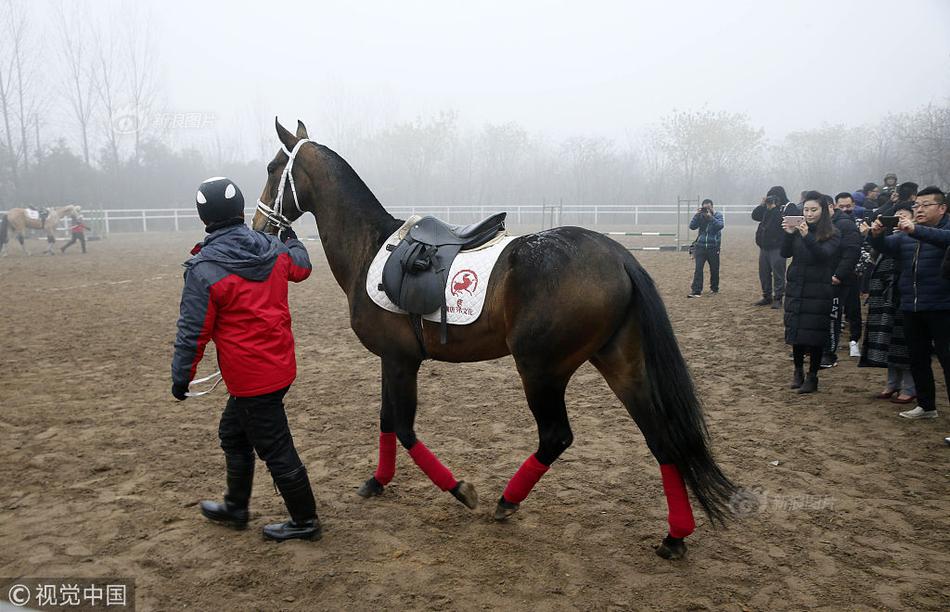勇敢挑战极限展现无畏精神与力量的推荐与凯发一触即发早报刘玥大战28公分黑人(图1)